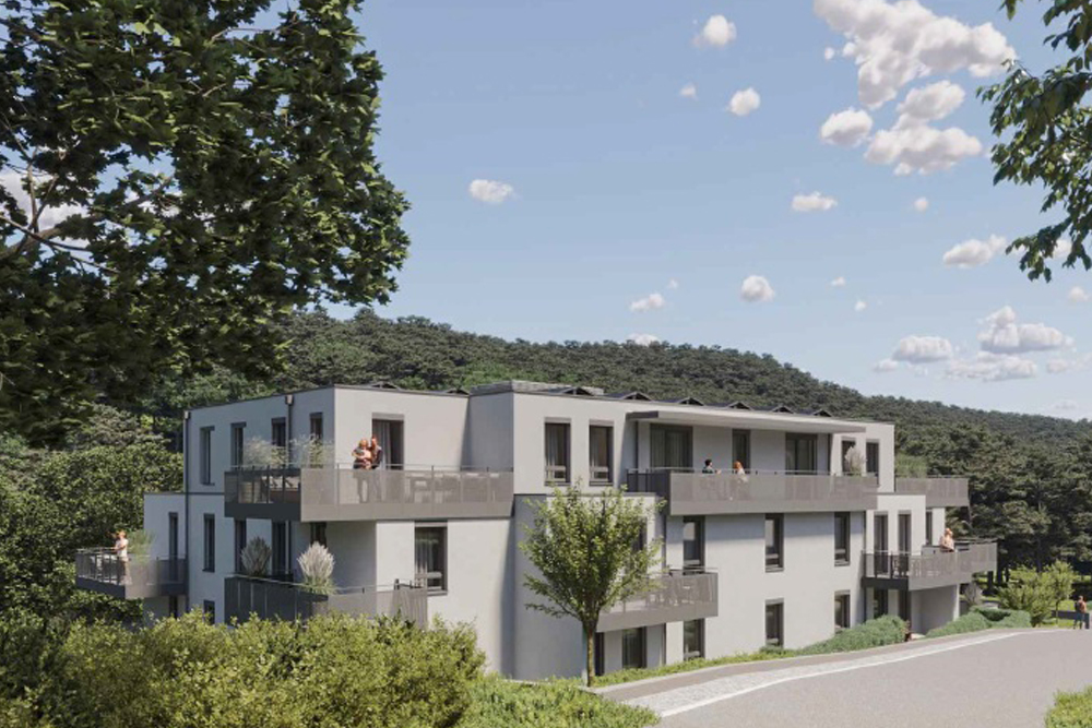 Projekt Kaltenleutgeben der ngb