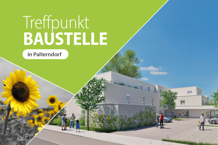 Palterndorf-Dobermannsdorf, 2182 Palterndorf, Wohnung